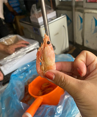 ����Ϻ����Ϻ��ˮ������·