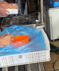 ����Ϻ����Ϻ��ˮ������·