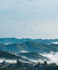 ��������ҦСɽ�壬�·�׹������ɾ�