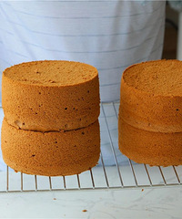 �ɿ����ݷ絰�� | �����ݣ�1�γɹ�