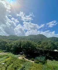 #�ҵĵ����ճ�#30�꣬�����ľ�ǿ���������ķ���ʼ�ա�