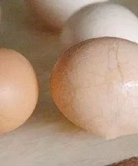 ����Ӫ���ٺã���6�ֵ�Ҳ���ܸ�����ԣ�����̥