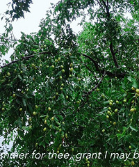 #�ҵĵ����ճ�#�ڴ�2.0