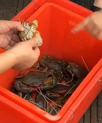 ��40��һ��ñ���