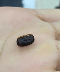 �����̲��кȳ���ɫ���ר���ж�Ϊ����ѣ�