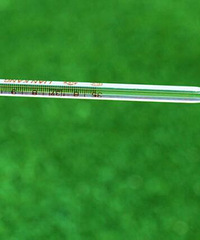 ��Ҫ���Ů�������ʣ�Ӧ����ô��?�����⼸��Ҫע��Ŷ~