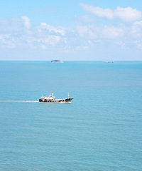 ���ﺣ������ƽ���