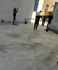 �򹷶�����