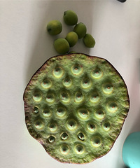 ̨�����첻��ô�����������Ϊ����ûʲô����