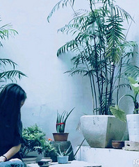 #���շ�Χ�д�Ƭ#