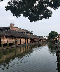 ���˰���������������Ʊ