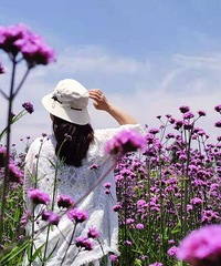 #�＾��Χ�д�Ƭ#26��̨��MM