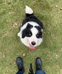 �޳���������