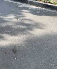 �񲻼����ߵ�