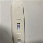 ����Ȼ��Ȼ������