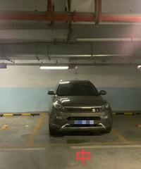 Ϊʲô��ô������λϲ�������ӣ�