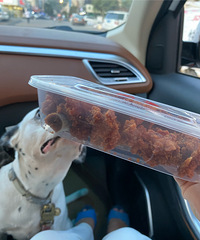 ���Ի���̨��No.56���ǲ��Ź�-ը�Ź��еİ�����