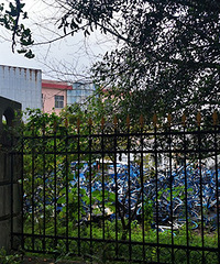 һ�ѹ�������������