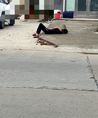 զһ�����ŵ�����