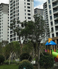 ��˵С������˭֪���ǰ��÷�