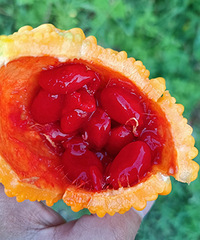 ��ô���г�İ���