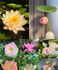 #�ҵĵ����ճ�#��������������