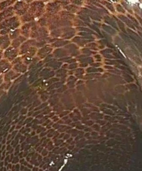 ���ѵ�һ������һ�ż�鱨��ͼ���������ѣ�����3�꣬���̫����