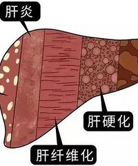 �úû����У���ô�����ϡ����ɱ�֡��ˣ�