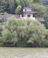 �������ܶ��ٲ������﷫������