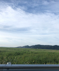 û������������Ҳ��������