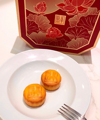 [����]�̻��±��컨��vs�����±��컨��