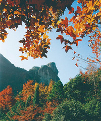 [����]̨������˽�ص�7��С�ڹŵ�