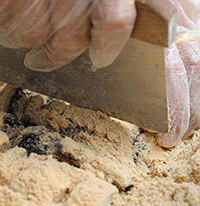 [��ʳ]�����������߳Ե�������һ����ʳ��Ϯ