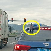 ��ö���ͷǳ�����