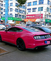 Ұ������ɫҲ̫ɧ�˰ɣ�