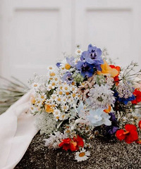 [������Ѷ]��֤���ģ����ڳ�Ϊ�³���