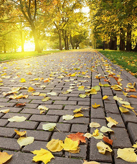 ��֪����������ܷ��������أ�80��̨��MMѰ������µ���