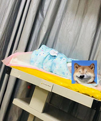 [�尾]ȫ��û�д���ʹ���ޣ����ڹ��Ź�����һ��