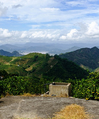 ��ɽ��ɫ����