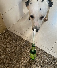 ����¶ˮ����������