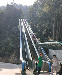 ��������ɾ�