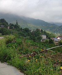 ������һ�������ٺ�����ɽ�и�