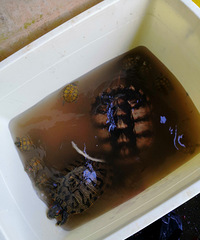 �ڹ���ó���Ҫ����������ܳ���ô��