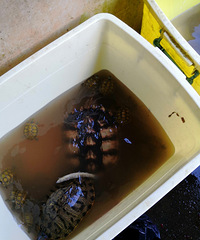 �ڹ���ó���Ҫ����������ܳ���ô��