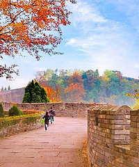 [����]�㽭���������������Ī���������̻�����ǧ��ų�