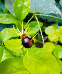 ���򻨾�ȻҲ����