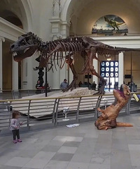 90�꽷��GG����175��Ѱ�����ദ������Ů��