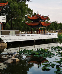 ���������԰