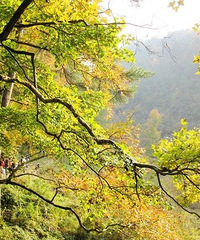 ̨����Щ����ɫ�ŵ�����򿨹��ģ�����Щ��