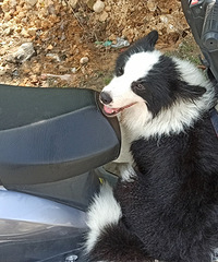 84����GG�������޺������µ�������ɹ�